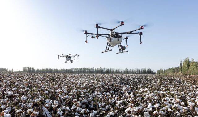 agriculture, drone, dji agriculture, dji, farming, farmland, plant protection drone, plant protection, extremely fly, cotton, cotton fields, drone, drone, drone, drone, drone, cotton