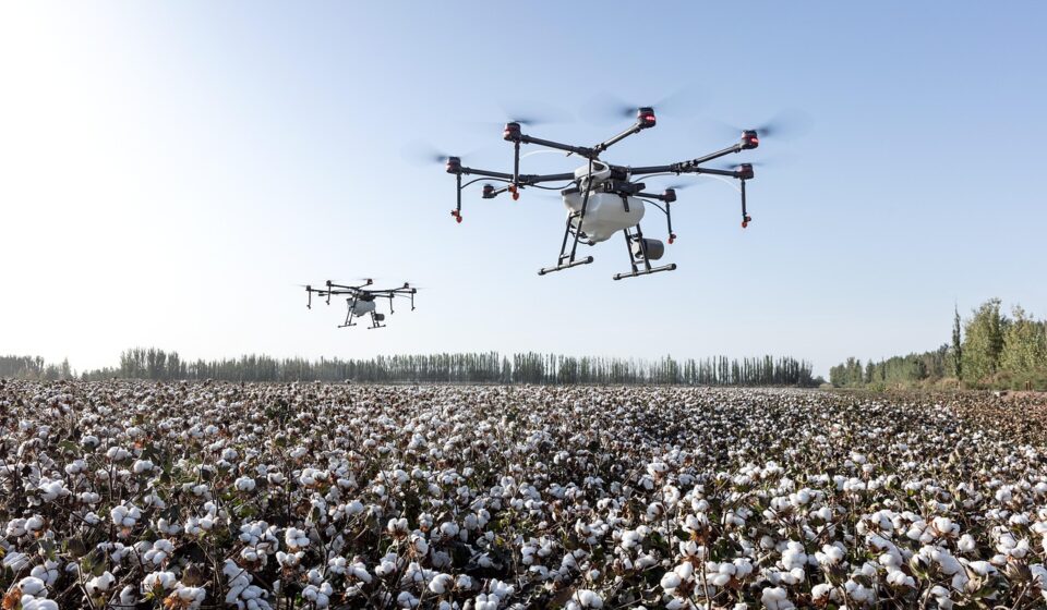 agriculture, drone, dji agriculture, dji, farming, farmland, plant protection drone, plant protection, extremely fly, cotton, cotton fields, drone, drone, drone, drone, drone, cotton