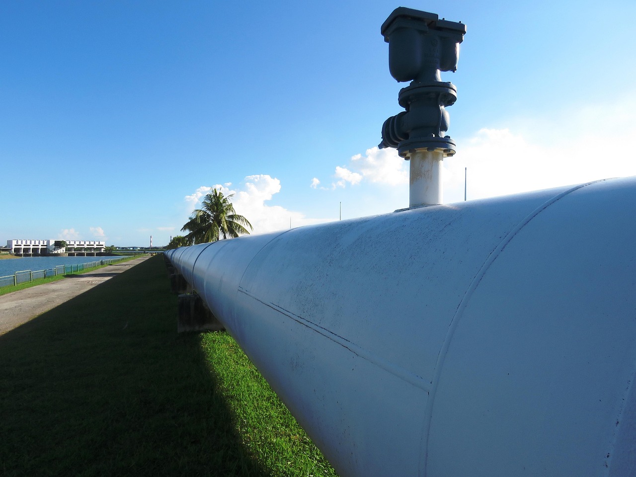 pipeline, oil flow, oil, industry, industrial, pipe, engineering, technology, fuel, flow, production, pump, factory, supply, business, blue industry, pipeline, pipeline, pipeline, pipeline, pipeline