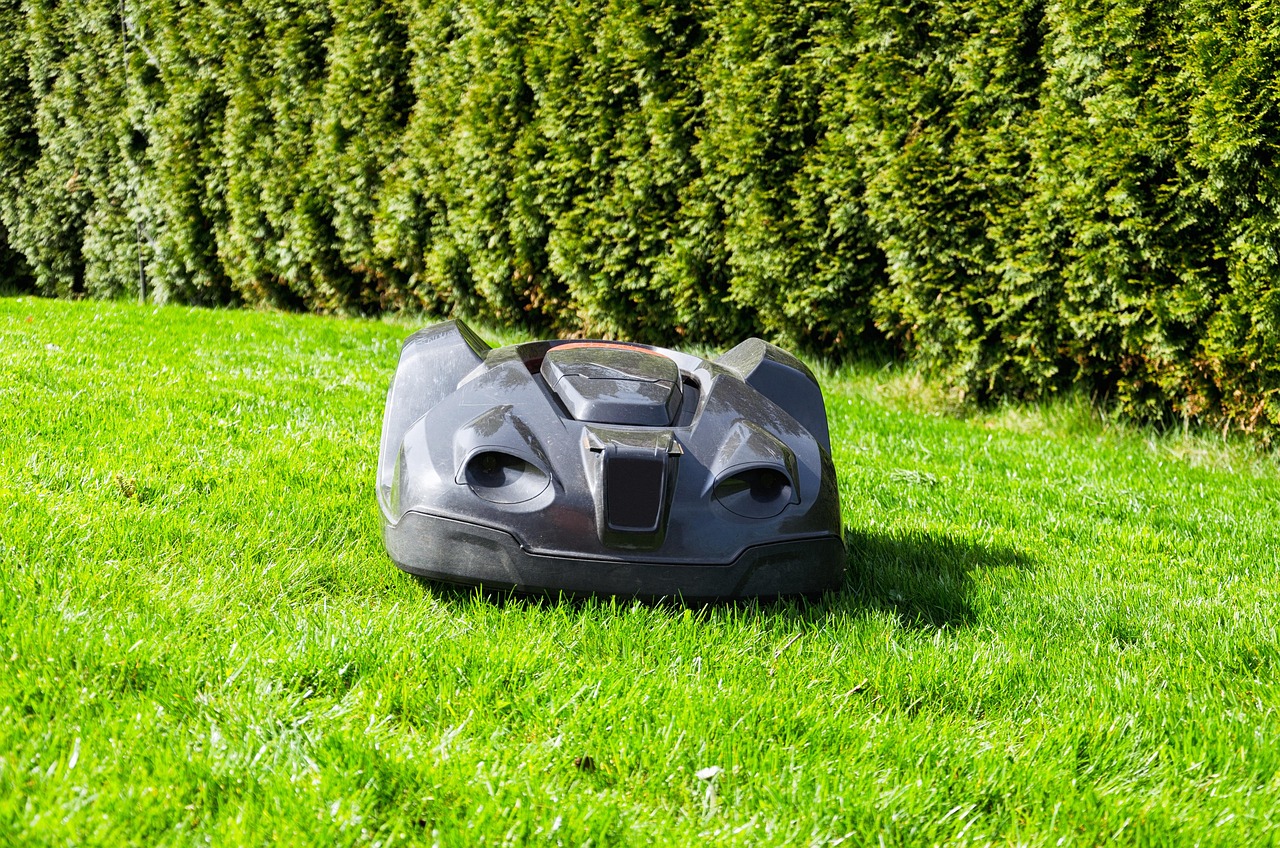 grass, lawn, summer, nature, garden, landscape, plant, equipment, lawn mower, robotic lawnmower, robot, garden maintenance, green, gardening, rural, environment, exterior, hedge