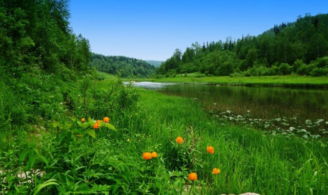 june, river, siberia, june, june, june, june, june, river, siberia, siberia
