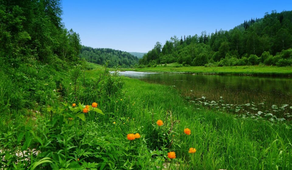 june, river, siberia, june, june, june, june, june, river, siberia, siberia