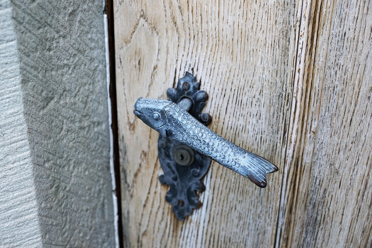 door, jack, art, iron, material, template, design, entrance, metal, door handle, old, door lock, gate, castle, wooden door, fitting, handle, wood, front door, brass, close, portal, house entrance, blocking, floor, ban, nature, artful, access, exit, fish, ornament, structure, artwork
