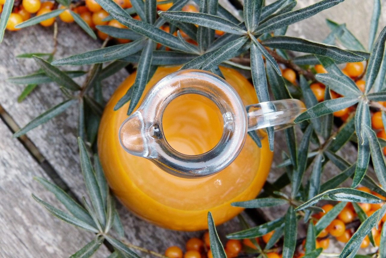 sea buckthorn, juice, nature, berry, branch, fruit, fall, vitamins, late summer, summer, remedies, sea buckthorn juice, vitamin c, defense, immune system, health, cold, flu, virus, prevent, prophylaxis, shrub, fructose, orange, bio, naturally, infection protection, fresh, healthy, food, natural product
