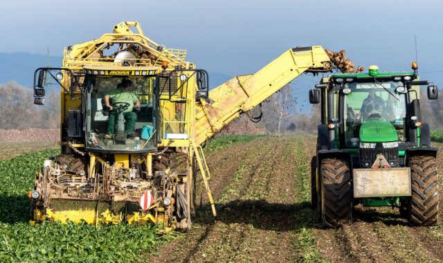 turnip, vegetables, harvest, agriculture, nourishment, naturally, machine, fields, tuber, nature, floor, farmer, sugar beet, arable land, technology, vehicle, harvest time, fall, harvest, harvest, harvest, harvest, harvest