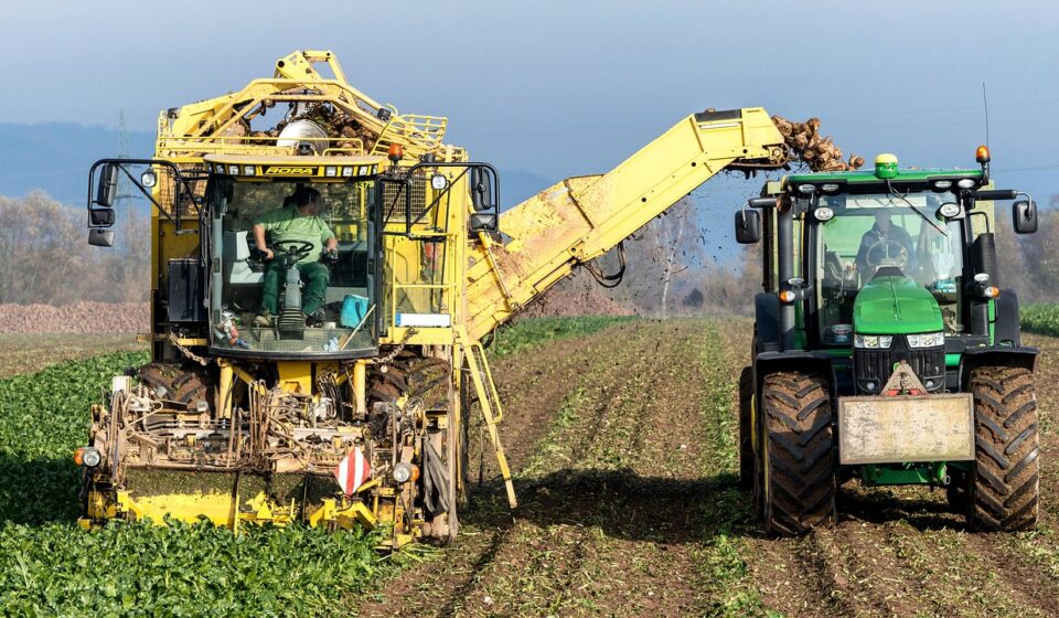 turnip, vegetables, harvest, agriculture, nourishment, naturally, machine, fields, tuber, nature, floor, farmer, sugar beet, arable land, technology, vehicle, harvest time, fall, harvest, harvest, harvest, harvest, harvest