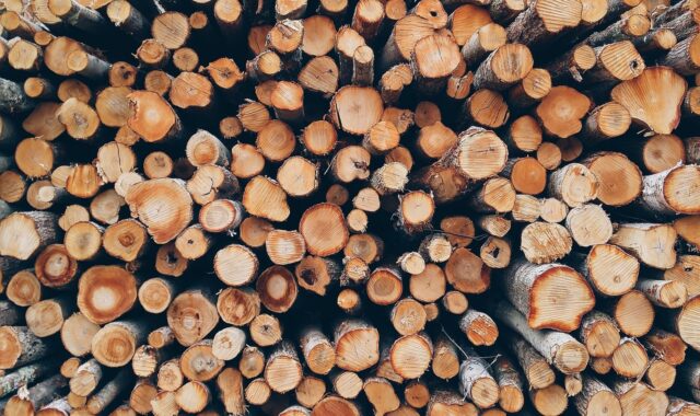 wood, pile, logs, bole, firewood, pieces of timber, woodpile, wooden, timber, forestry, texture, deforestation, material, wooden logs, wood, wood, wood, wood, wood, logs, firewood, timber
