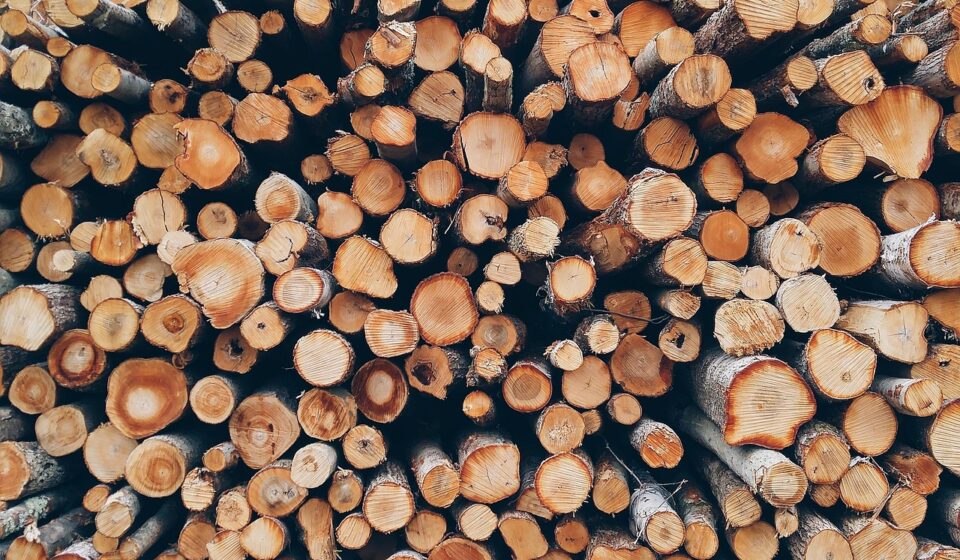 wood, pile, logs, bole, firewood, pieces of timber, woodpile, wooden, timber, forestry, texture, deforestation, material, wooden logs, wood, wood, wood, wood, wood, logs, firewood, timber