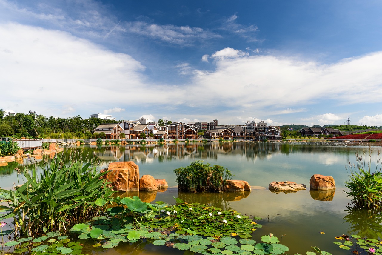 pond, lotus, nature, house, small town, summer