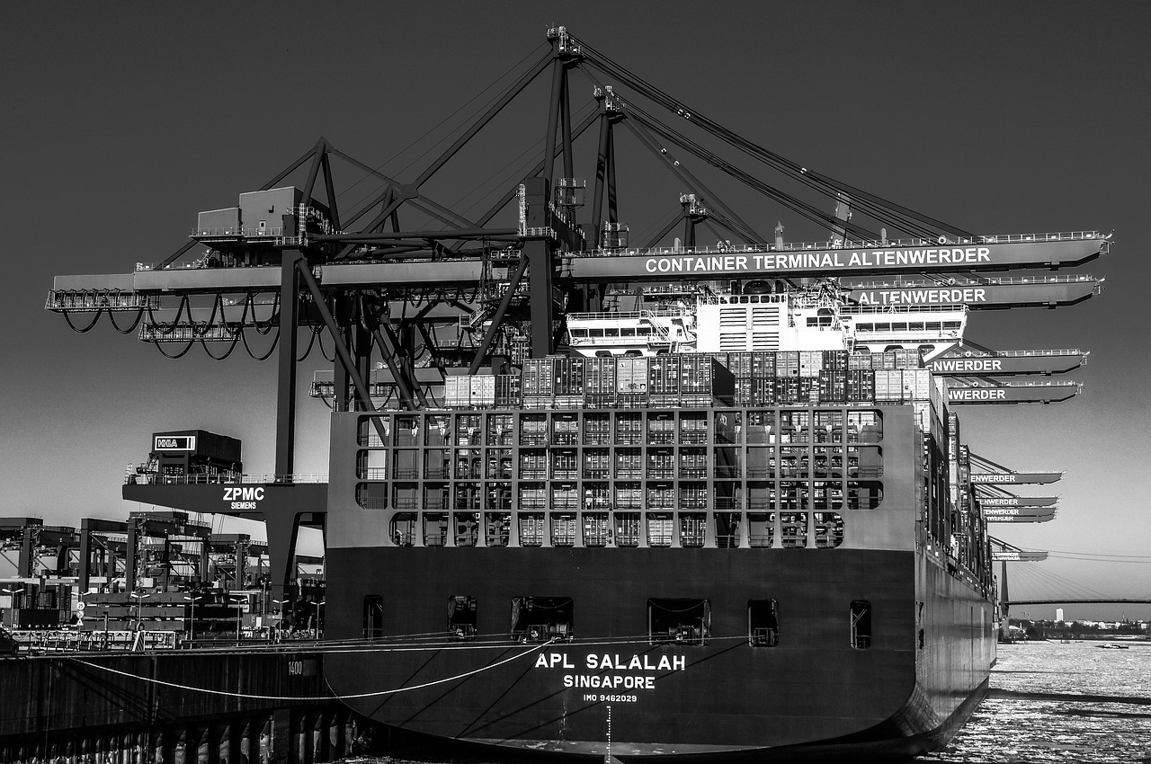 ship, port, container ship, sea, nature, dock, pier, hamburg, germany, monochrome, container, logistics, freight, export, transport, charge, trade, shipment, container terminal, container handling, cargo handling, container bridge, cargo ship
